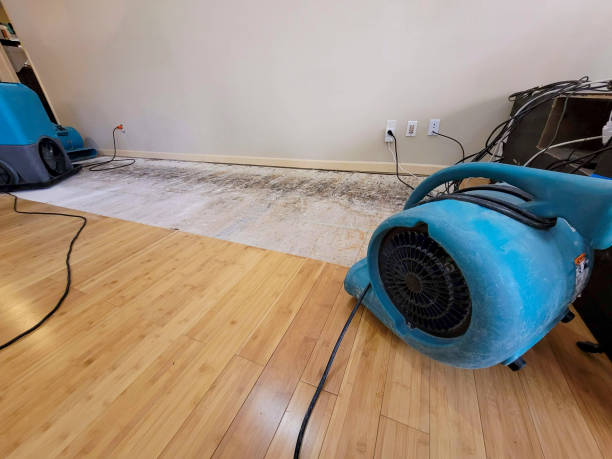 Professional Sewage Cleanup technician working in Whitleyville, TN